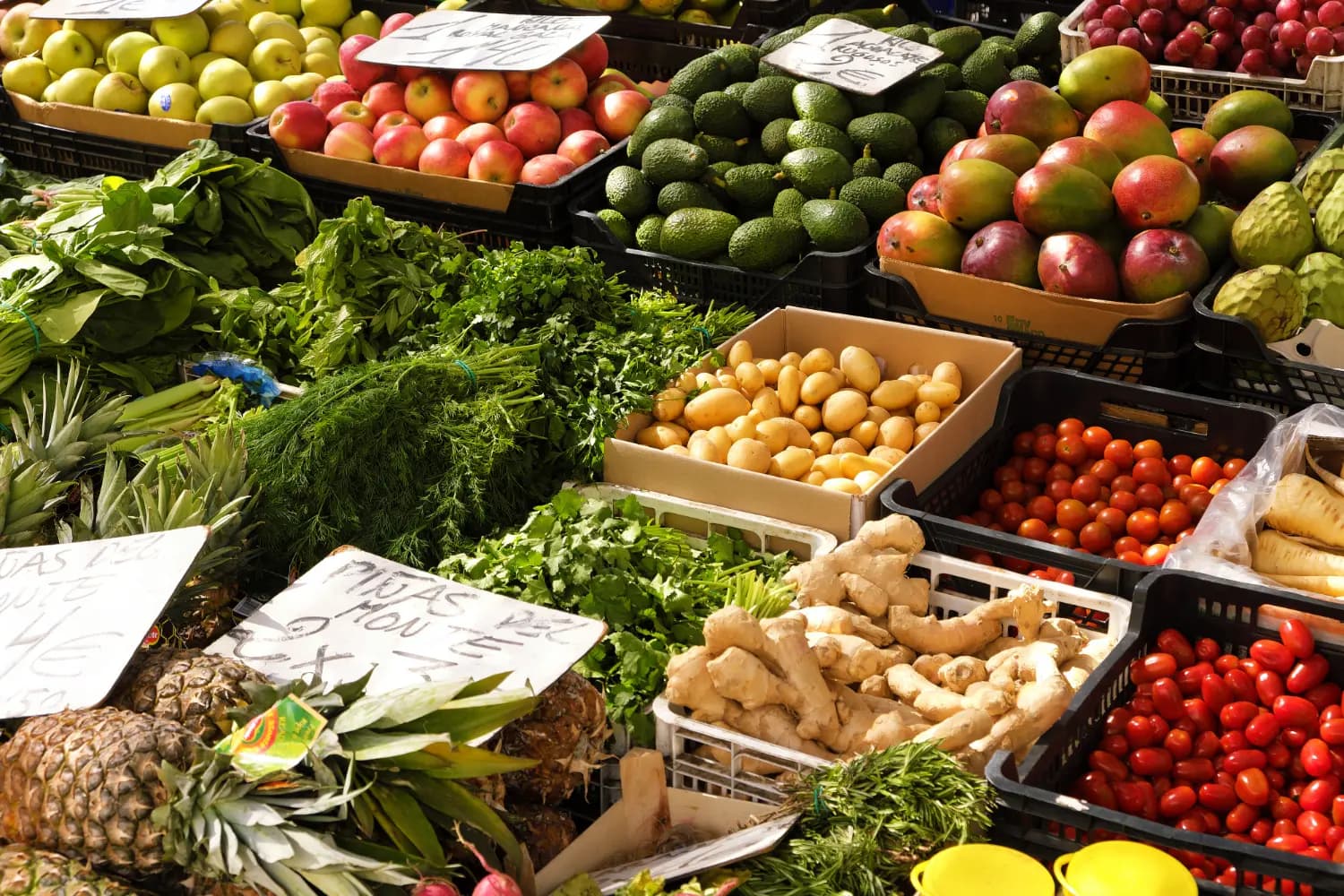 Local Markets